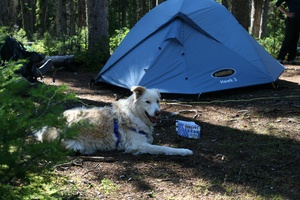 Max at Camp